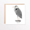 Grey Heron colour pencil drawing. Printed onto a white square card with Kraft brown envelope.
