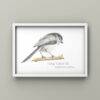 Long Tailed Tit colour pencil drawing by UK wildlife artist. The latin scientific name has been added to the drawing. A4 print shown in a white frame with light grey wall