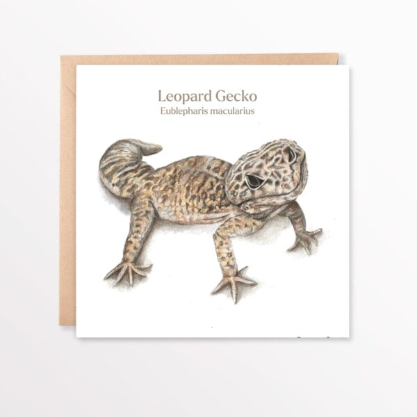 square card showing hand drawn leopard gecko on a plain white background with a brown envelope