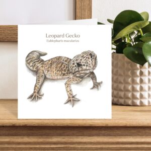 Reptile greetings card with hand drawn leopard gecko with latin and common name printed on card. Plain white background square card with brown envelope on a worktop