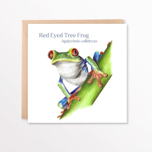 Tree Frog Latin Card - Image 3
