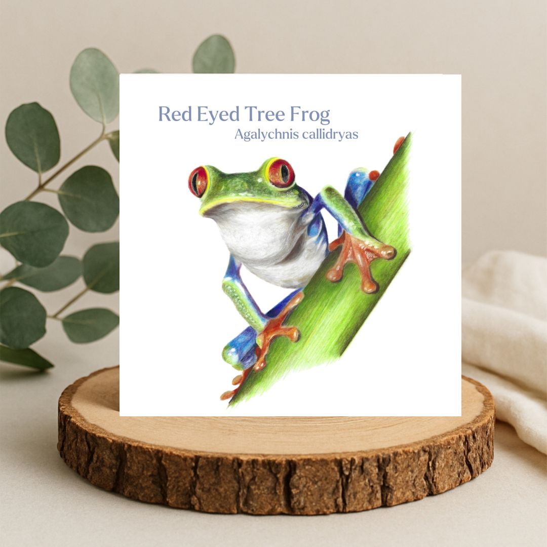 Tree Frog Latin Card