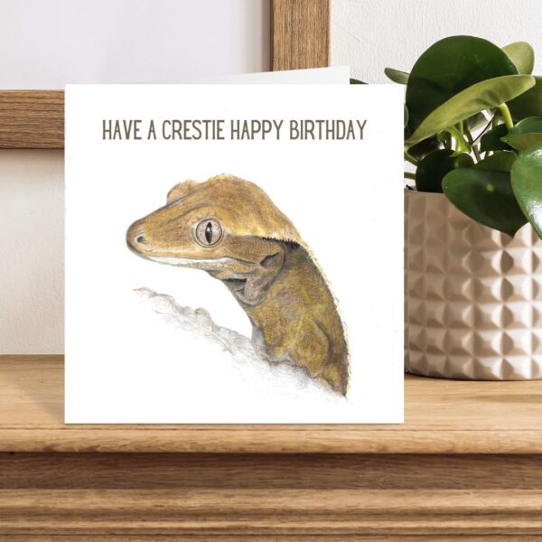 Colour pencil drawing of a crested gecko head and shoulders. A small cute lizard with sweet eyes and eyelashes. There is text that says Have a Crestie Happy Birthday at the top. The artwork is on the front of a square white card sat on a wooden shelf