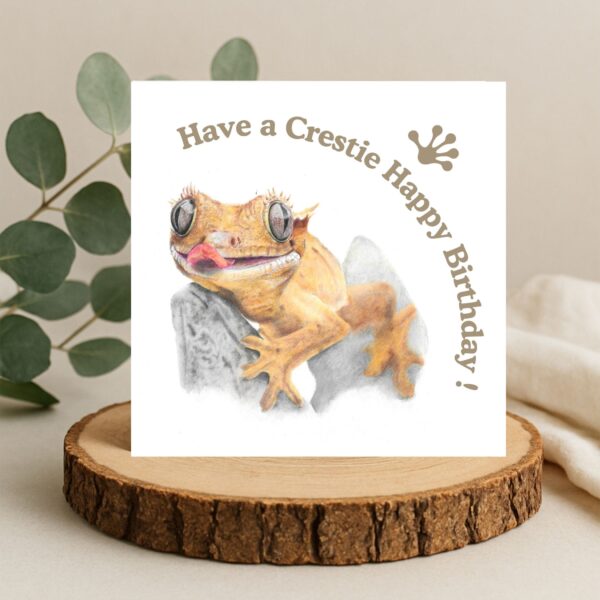 Colour pencil drawing of a crested gecko lizard with large eyes and tongue out. The gecko is clinging to a small rock. There is text that says Have a crestie happy birthday with a gecko foot logo. The art is on the front of a square card