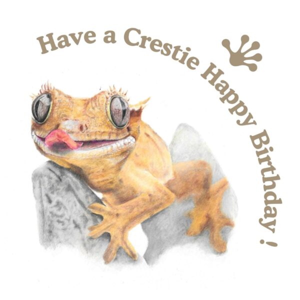 Colour pencil drawing of a crested gecko lizard with large eyes and tongue out. The gecko is clinging to a small rock. There is text that says Have a crestie happy birthday with a gecko foot logo.