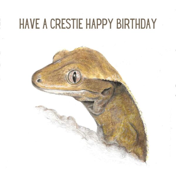Colour pencil drawing of a crested gecko head and shoulders. A small cute lizard with sweet eyes and eyelashes. There is text that says Have a Crestie Happy Birthday at the top. There is a plain white background.