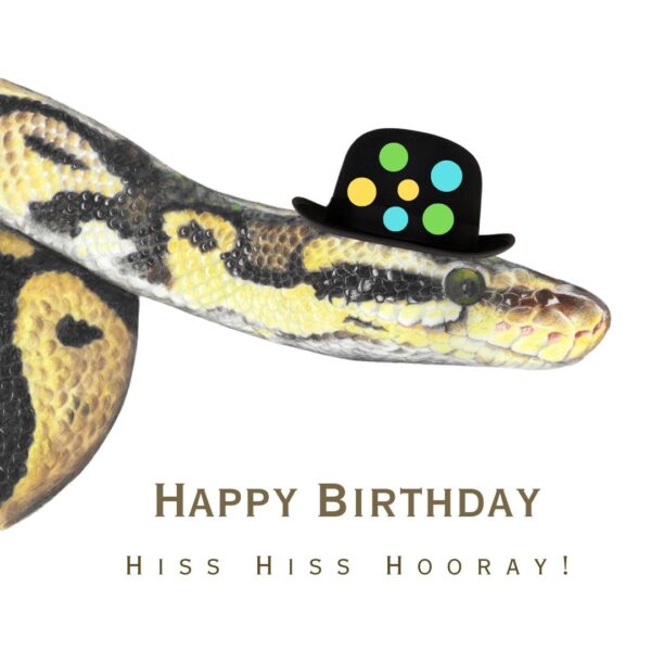 Colour pencil drawing of a yellow and black snake head and shoulders wearing a bowler hat with coloured spots on. The snake is on a white background with the wording Happy Birthday Hiss Hiss Hooray.