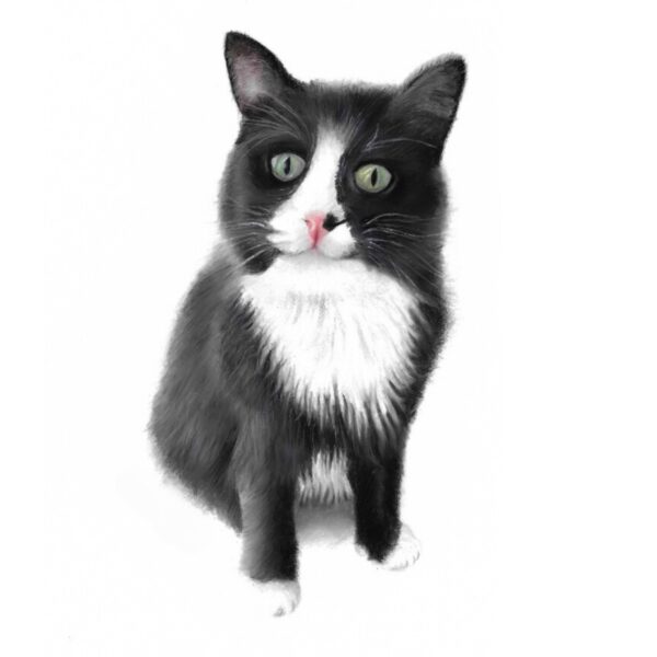 Maine Coon Cat Card : Cat Art (6" x 6") - Image 2