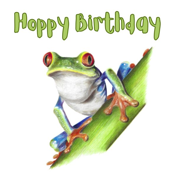 Tree Frog Birthday Card : Frog Art (6" x 6") - Image 2