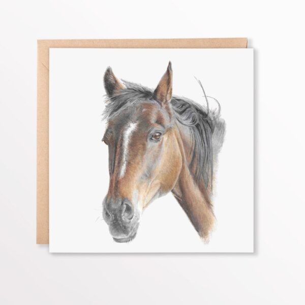 Horse Greetings Card. Colour pencil drawing of a brown horse head and shoulders on the front of a white square card. The card is lying down flat on top of a brown envelope