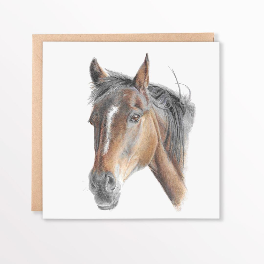 Horse Greetings Card. Colour pencil drawing of a brown horse head and shoulders on the front of a white square card. The card is lying down flat on top of a brown envelope