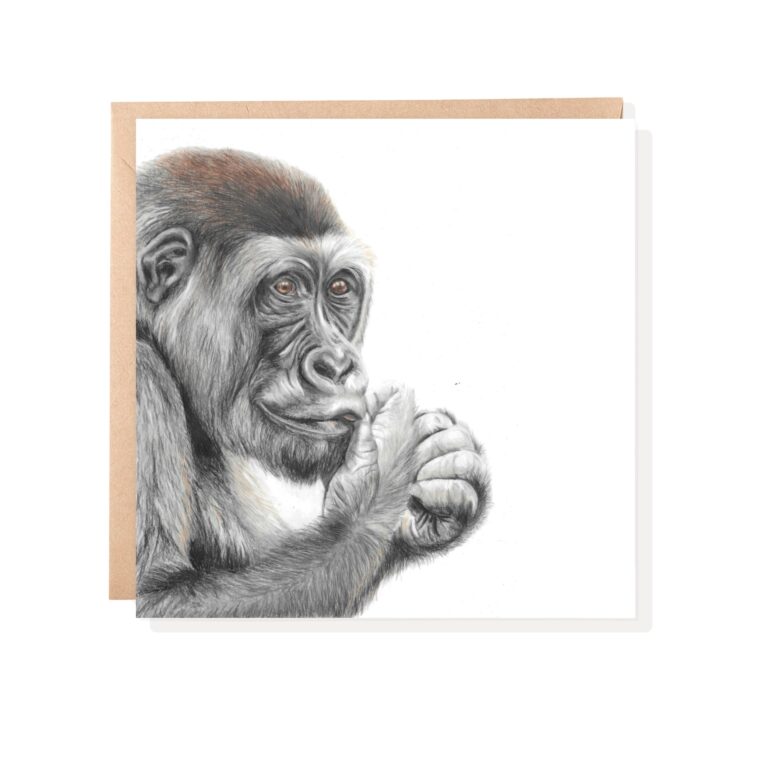 Western Lowland Gorilla Card : African Animal Art (6″ x 6″)