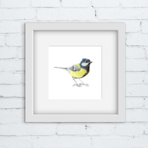 Great tit bird colour pencil drawing. A small grey and yellow bird in a white square frame against a white brick wall