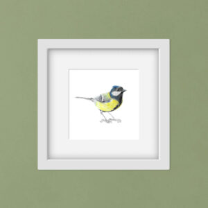 Great tit bird colour pencil illustration in a white frame on a green wall