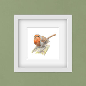 Robin illustration mounted in a white square frame on a green wall