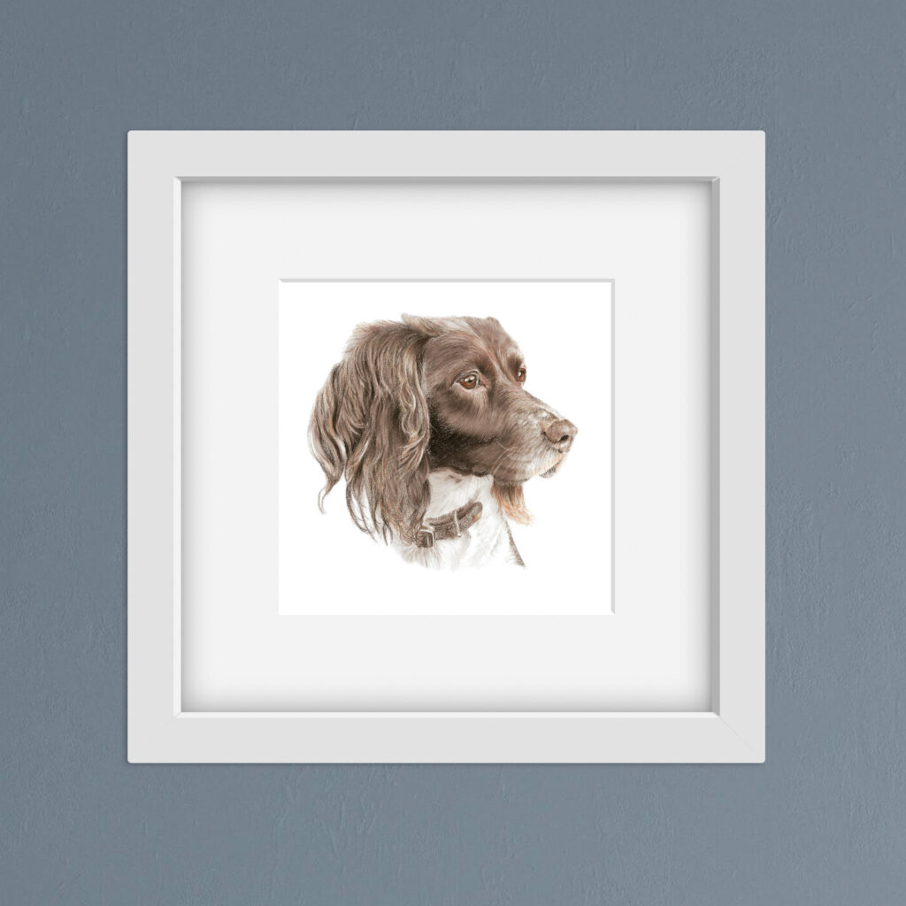 Springer Spaniel Print Springer Spaniel Print: Dog Art - Louise Green Animal Artist