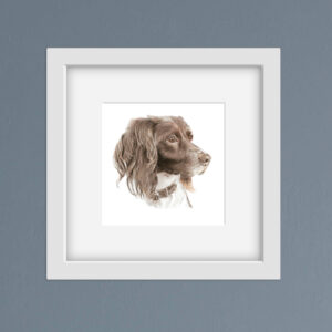 springer spaniel dog drawing. Liver and white dog portrait in a white frame against a blue wall