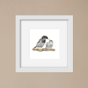 Sparrow and Young Print: Bird Illustration