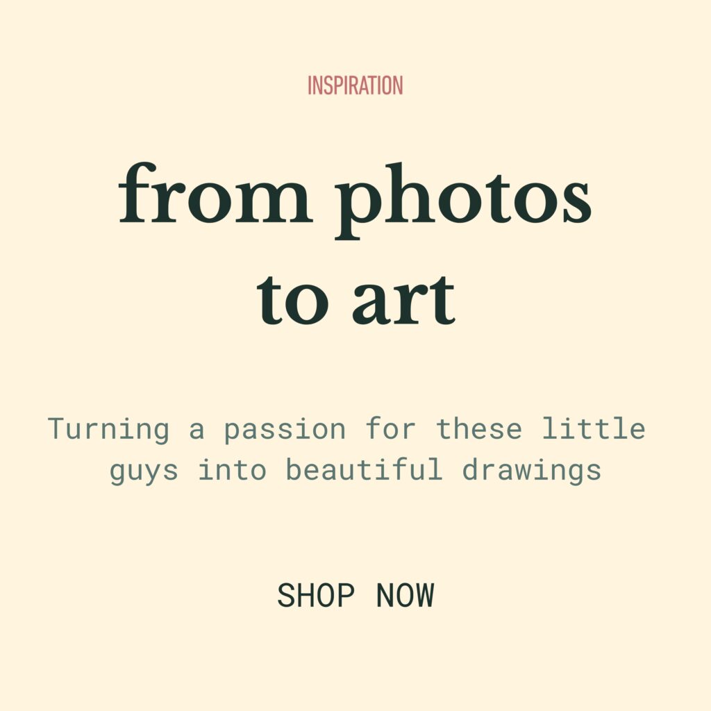 from photos to art text block