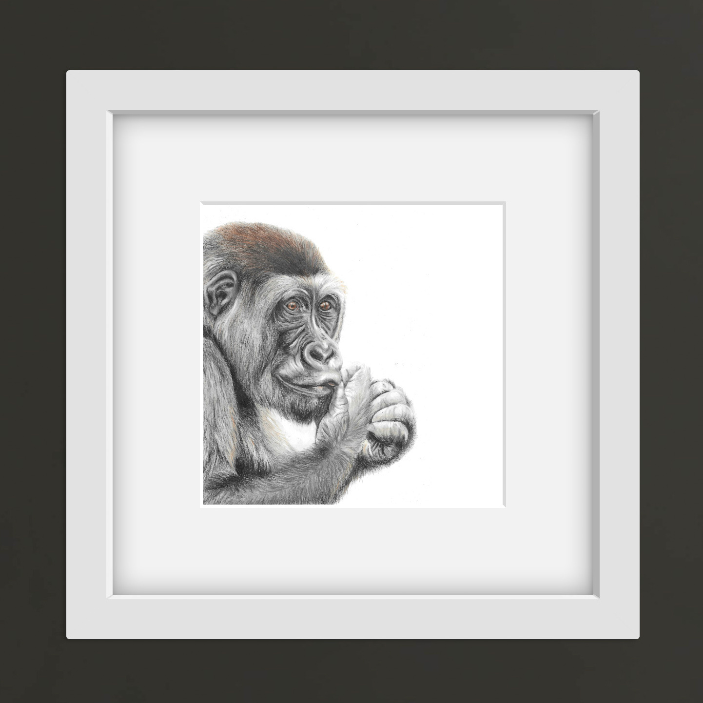 Colour pencil drawing of a gorilla in a square white frame against a black wall