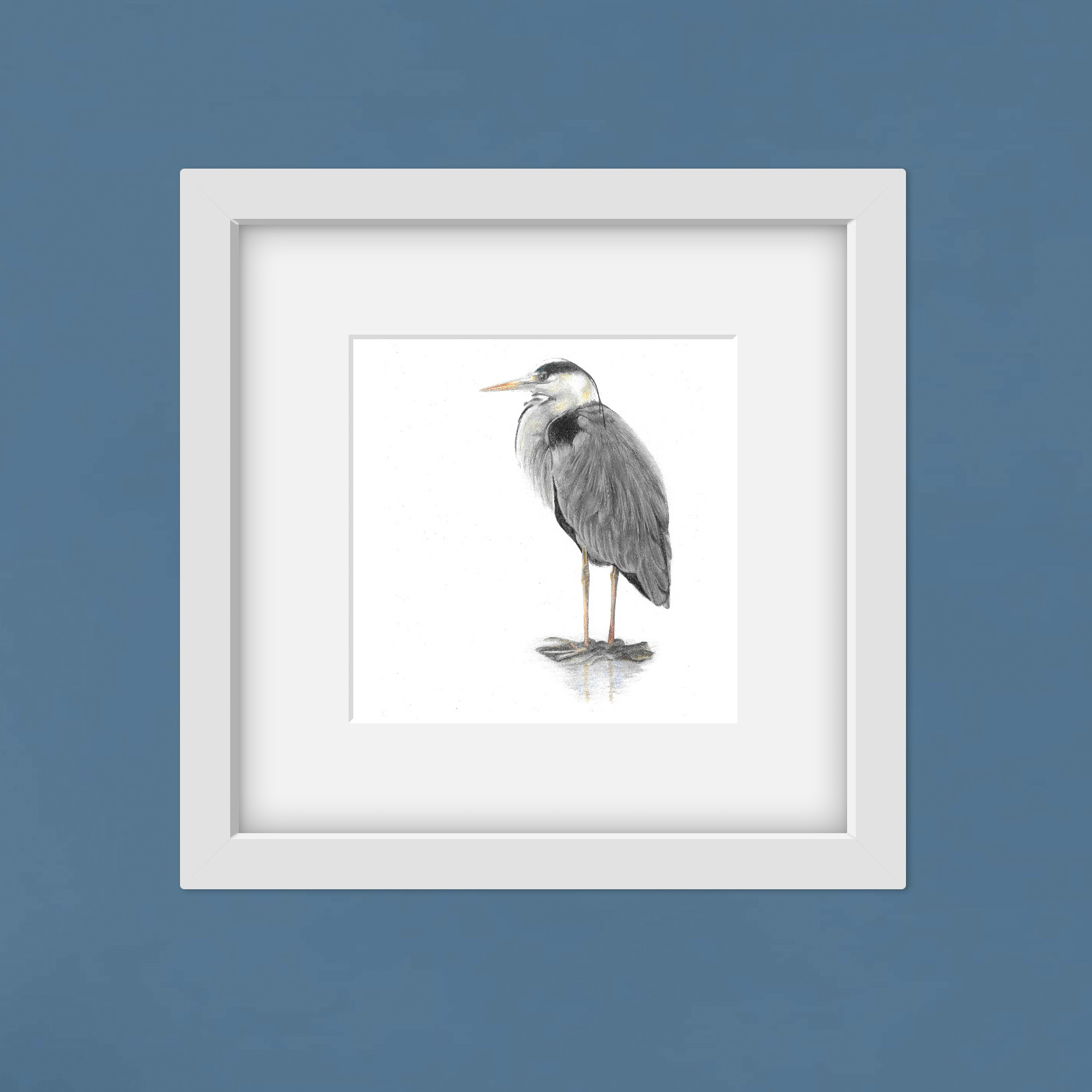 grey heron colour pencil drawing in a square white frame on a blue wall