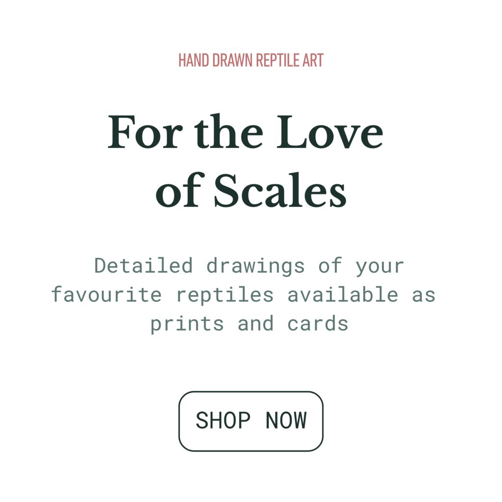 Side Eye Reptile Art Text For the love of scales