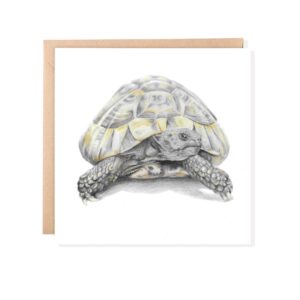 colour pencil drawing of a tortoise on a blank white card. The card is placed on a brown envelope