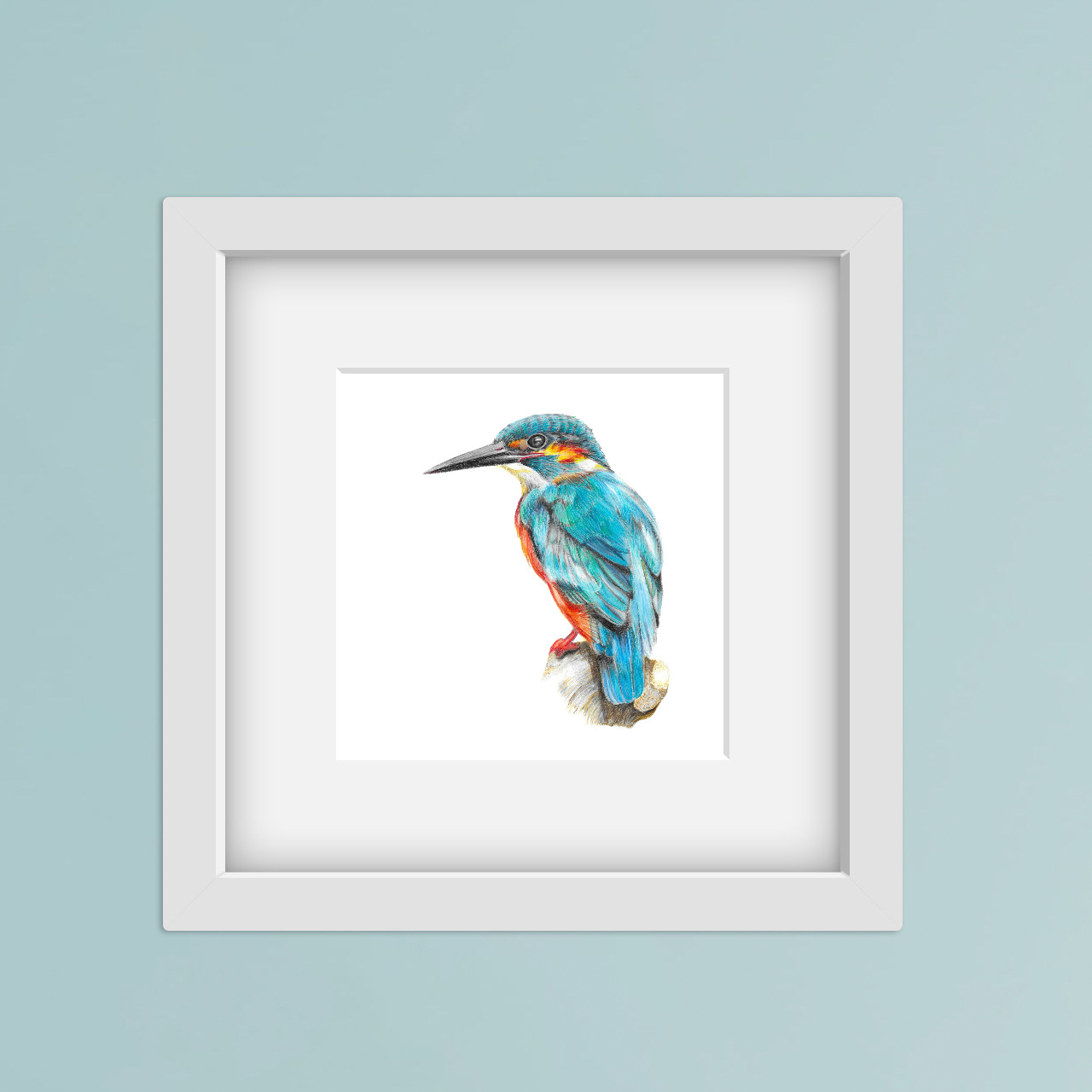 colour pencil drawing of a kingfisher in a square white frame on a blue wall