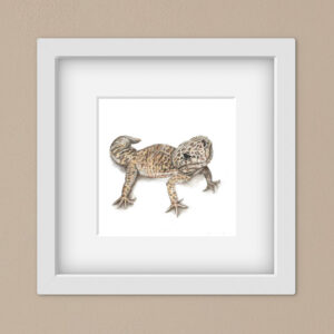colour pencil drawing of a leopard gecko in a white frame against a beige wall