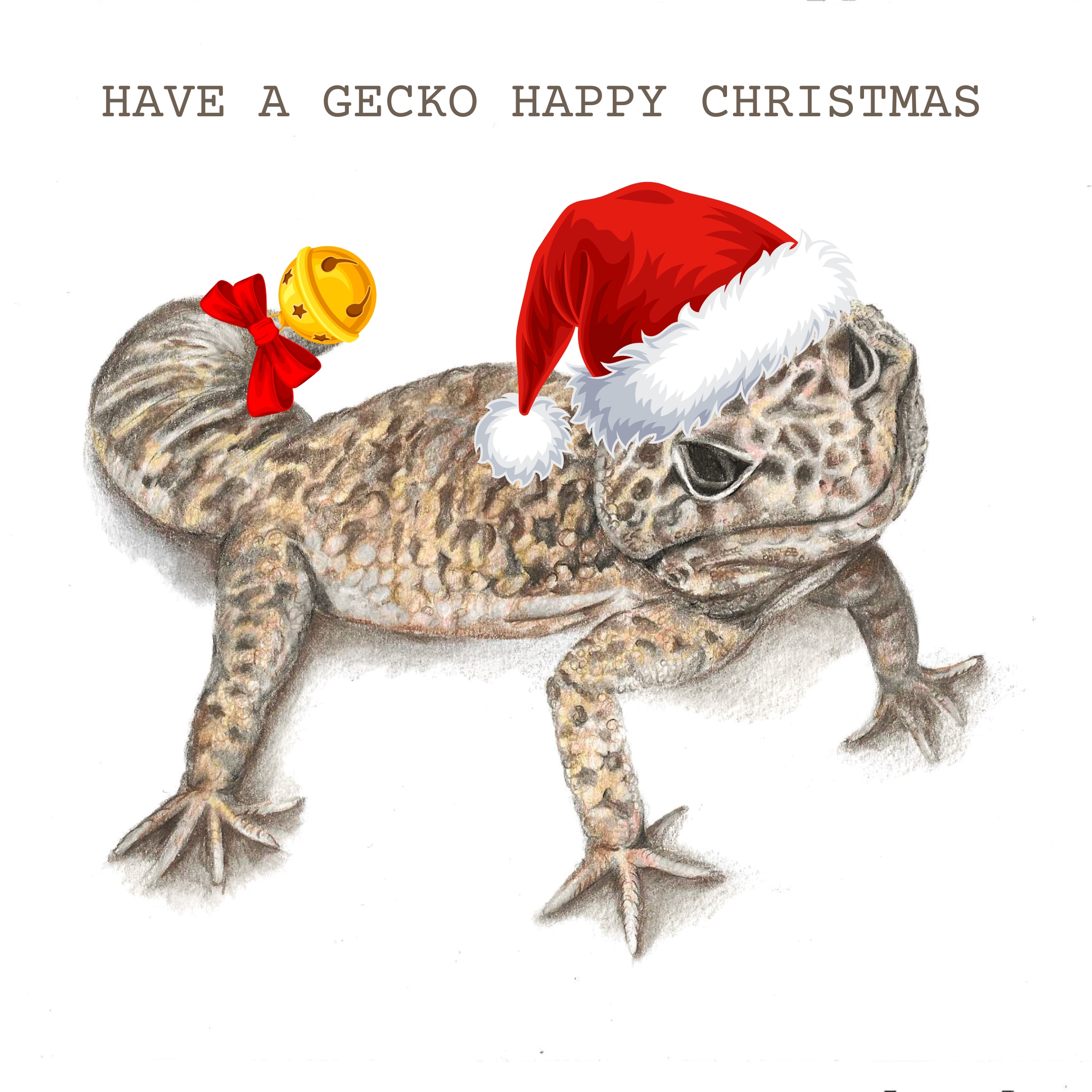 Leopard Gecko drawing with Santa hat and bell on a white background with Christmas message