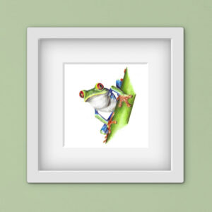 drawing of a red eyed tree frog in a square white frame against a green wall