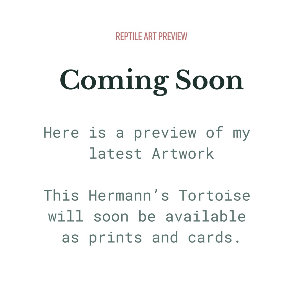 Text for reptile art preview website