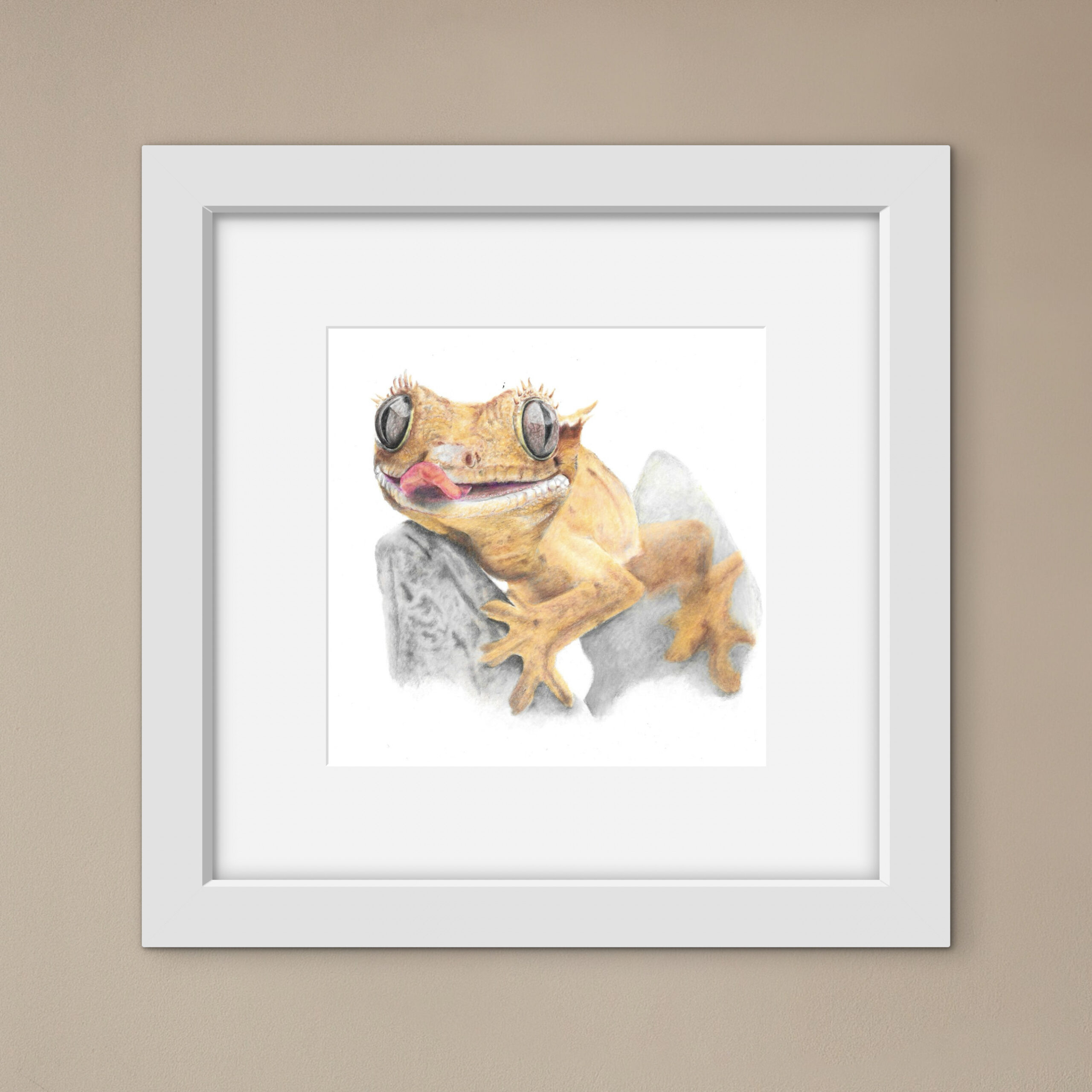 colour pencil drawing of a crested gecko with its tongue out in a square white frame