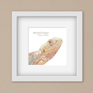 Drawing of a bearded dragon in a white square frame against a beige background
