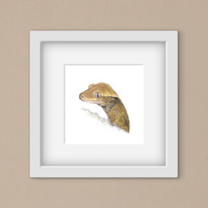 drawing of a crested gecko on a plain white background in a square white frame on a beige background