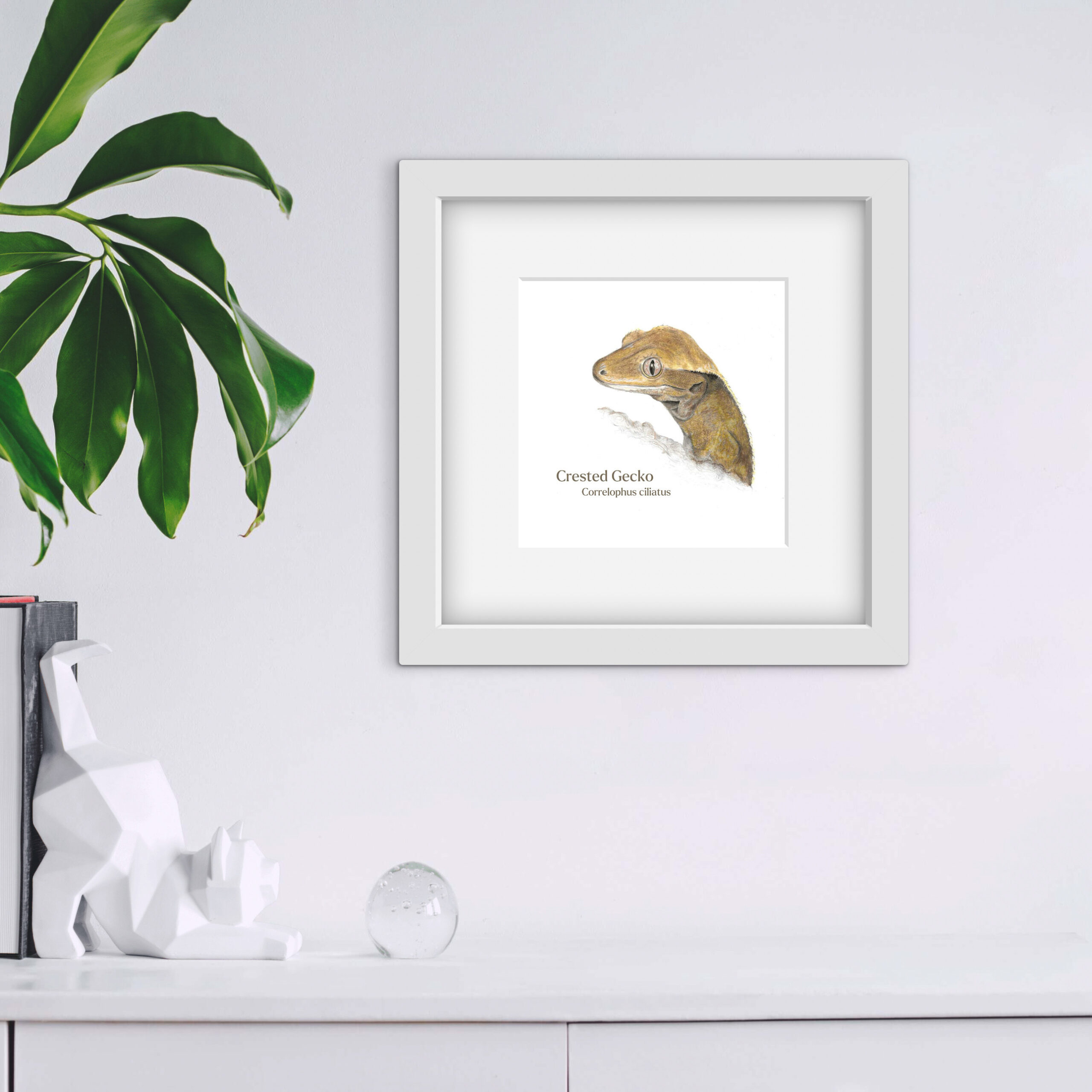 Crested Gecko Latin Mounted Print - Image 4